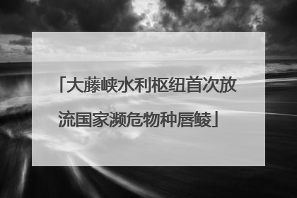 大藤峡水利枢纽首次放流国家濒危物种唇鲮