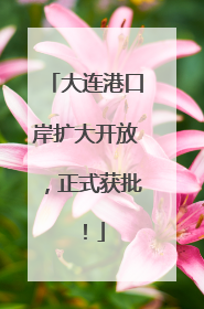 大连港口岸扩大开放，正式获批！