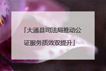 大通县司法局推动公证服务质效双提升