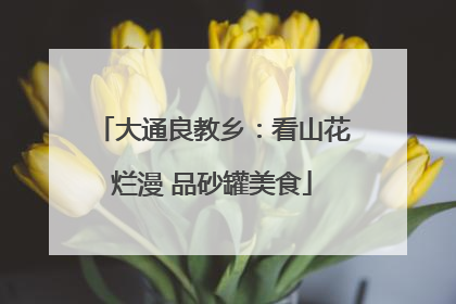 大通良教乡：看山花烂漫 品砂罐美食