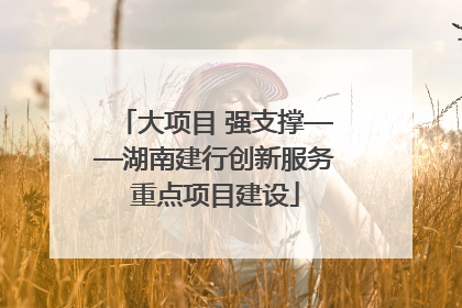 大项目 强支撑——湖南建行创新服务重点项目建设