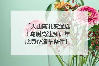 天山南北变通途！乌尉高速预计年底具备通车条件
