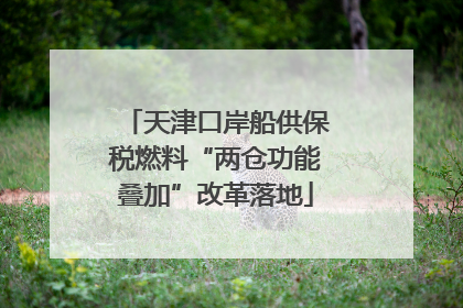 天津口岸船供保税燃料“两仓功能叠加”改革落地