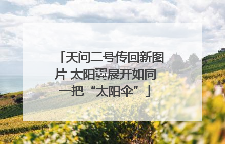 天问二号传回新图片 太阳翼展开如同一把“太阳伞”
