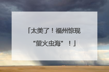 太美了！福州惊现“萤火虫海”！