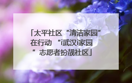 太平社区“清洁家园”在行动 “i武汉i家园”志愿者扮靓社区