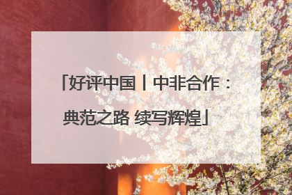 好评中国丨中非合作：典范之路 续写辉煌