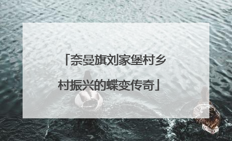奈曼旗刘家堡村乡村振兴的蝶变传奇