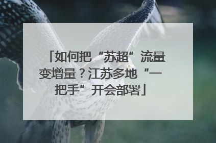 如何把“苏超”流量变增量？江苏多地“一把手”开会部署