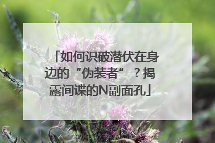 如何识破潜伏在身边的“伪装者”？揭露间谍的N副面孔