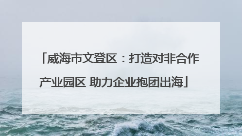 威海市文登区：打造对非合作产业园区 助力企业抱团出海