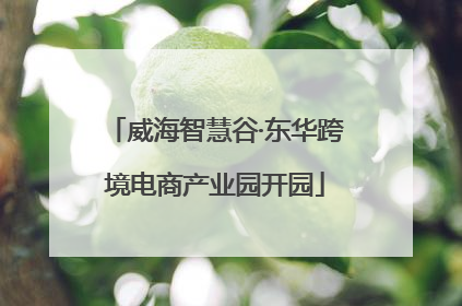 威海智慧谷·东华跨境电商产业园开园
