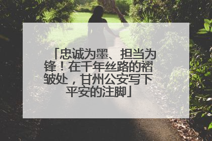 忠诚为墨、担当为锋！在千年丝路的褶皱处，甘州公安写下平安的注脚