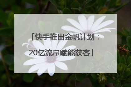 快手推出金帆计划：20亿流量赋能获客