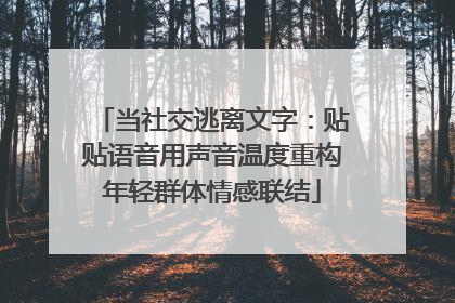 当社交逃离文字：贴贴语音用声音温度重构年轻群体情感联结