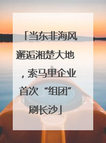 当东非海风邂逅湘楚大地，索马里企业首次“组团”刷长沙