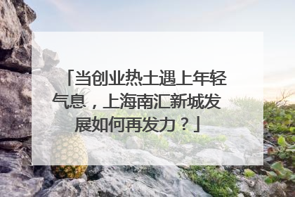 当创业热土遇上年轻气息，上海南汇新城发展如何再发力？