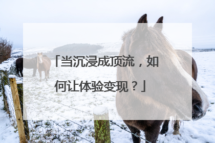当沉浸成顶流，如何让体验变现？