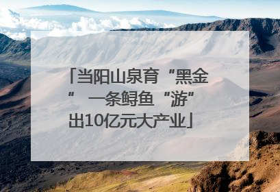 当阳山泉育“黑金” 一条鲟鱼“游”出10亿元大产业