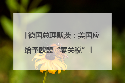 德国总理默茨：美国应给予欧盟“零关税”