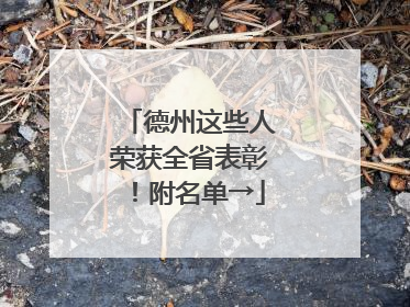 德州这些人荣获全省表彰！附名单→