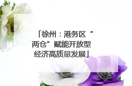 徐州：港务区“两仓”赋能开放型经济高质量发展