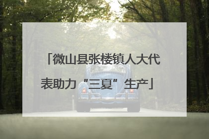 微山县张楼镇人大代表助力“三夏”生产