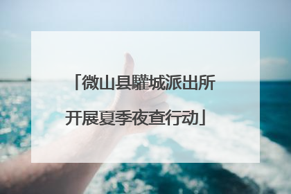 微山县驩城派出所开展夏季夜查行动