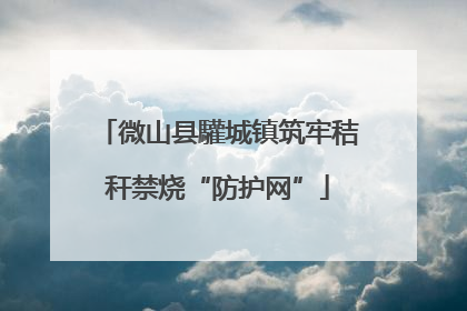 微山县驩城镇筑牢秸秆禁烧“防护网”