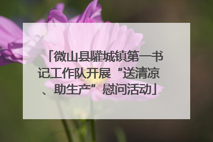微山县驩城镇第一书记工作队开展“送清凉、助生产”慰问活动