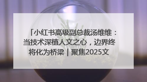 小红书高级副总裁汤维维：当技术深植人文之心，边界终将化为桥梁｜聚焦2025文化强国建设高峰论坛