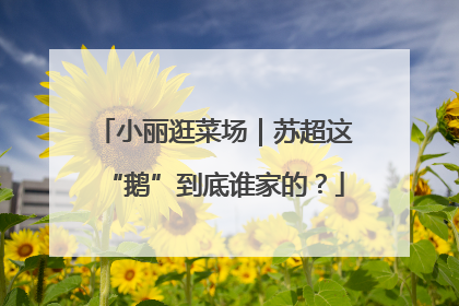 小丽逛菜场｜苏超这“鹅”到底谁家的？