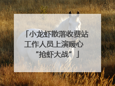 小龙虾散落收费站 工作人员上演暖心“抢虾大战”