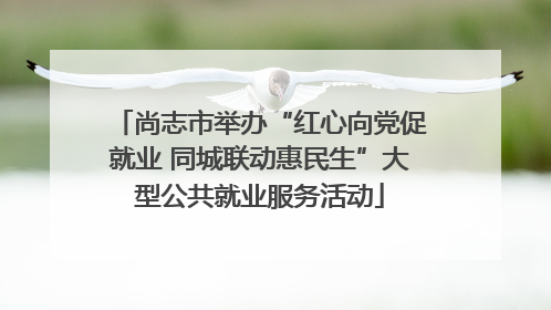 尚志市举办“红心向党促就业 同城联动惠民生”大型公共就业服务活动