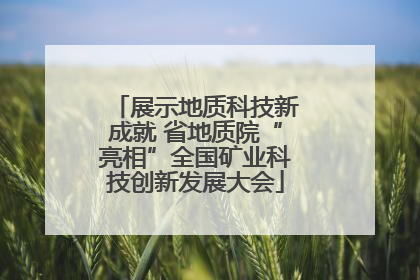 展示地质科技新成就 省地质院“亮相”全国矿业科技创新发展大会