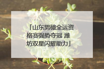 山东男橄全运资格赛强势夺冠 潍坊双星闪耀助力