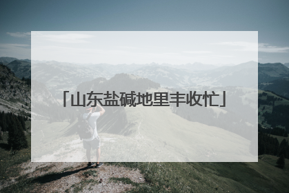 山东盐碱地里丰收忙