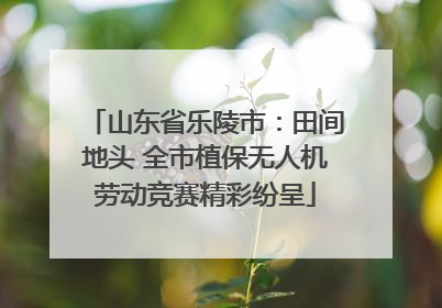 山东省乐陵市：田间地头 全市植保无人机劳动竞赛精彩纷呈