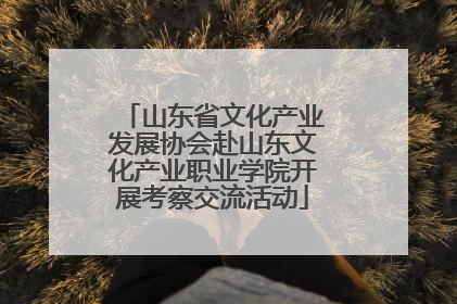 山东省文化产业发展协会赴山东文化产业职业学院开展考察交流活动