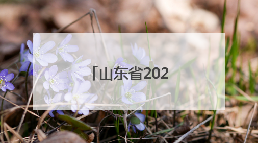 山东省2025年高考结束