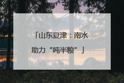 山东夏津：南水助力“吨半粮”