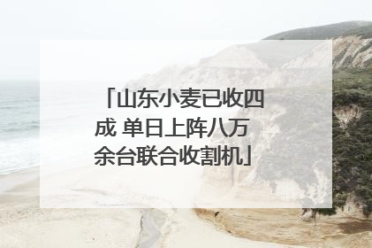 山东小麦已收四成 单日上阵八万余台联合收割机