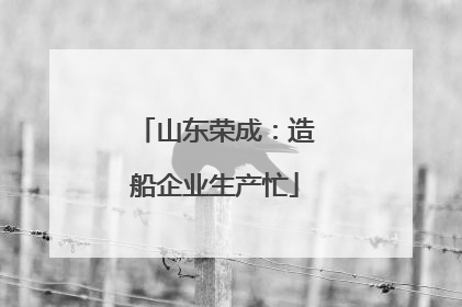 山东荣成：造船企业生产忙