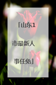 山东1市最新人事任免