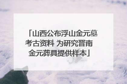 山西公布浮山金元墓考古资料 为研究晋南金元葬具提供样本