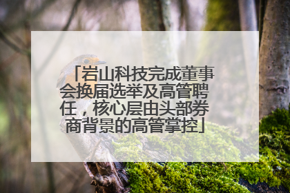 岩山科技完成董事会换届选举及高管聘任，核心层由头部券商背景的高管掌控