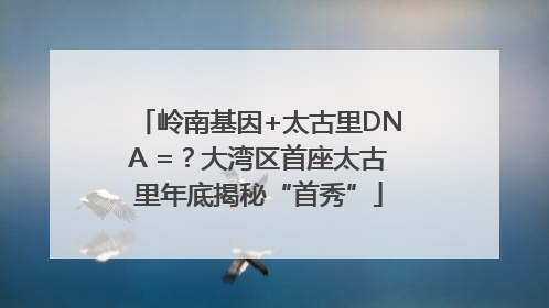 岭南基因+太古里DNA =？大湾区首座太古里年底揭秘“首秀”