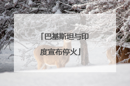 巴基斯坦与印度宣布停火