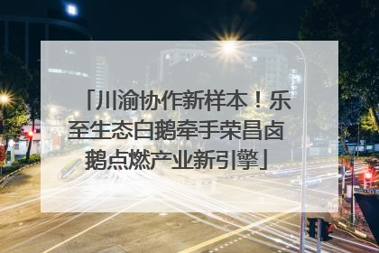 川渝协作新样本！乐至生态白鹅牵手荣昌卤鹅点燃产业新引擎