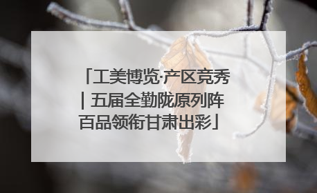 工美博览·产区竞秀｜五届全勤陇原列阵 百品领衔甘肃出彩
